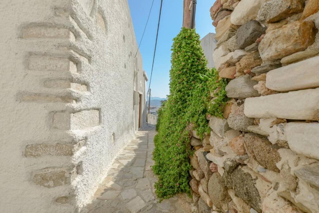 Traditional Castle House II Naxos City Exteriér fotografie